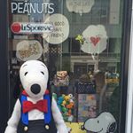 11351570_917414841665756_430658991_a