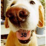 11202610_1647682692155241_1326128554_a