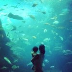 11348148_1216235478392454_1764249231_a