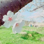 11191490_668908199881116_468688528_a