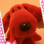 11116786_464276293734644_1613905566_a