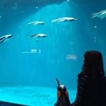 10349707_811073762250244_397746894_a