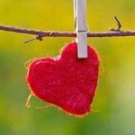 11311173_421925468008517_246626134_a