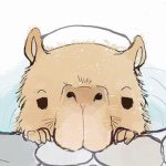 10983712_1452730315017051_1183836478_a