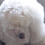 11856769_586448584846999_1626673026_a