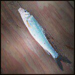 Profile_578760862_75sq_1380345456