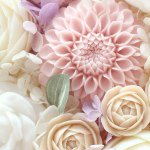 10986268_1549935795287547_2137125324_a