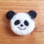 11357843_1649593125258981_550844753_a