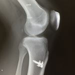 11202632_695564190576399_1717163189_a