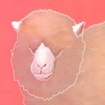 1971343_1677007832514716_1720588964_a