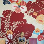 11426444_484549458370791_1807462132_a