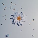 11385603_1481730895460526_491187320_a