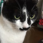 11271924_1447034508940267_721441677_a