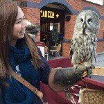 10362181_275046932667334_950899096_a