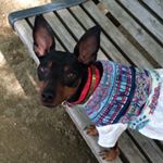 11348279_107194742965658_1753442615_a