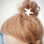 11356845_132609223740521_1575067926_a