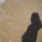 11376677_1067969529887536_1469938939_a