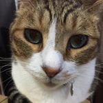 11353023_1681797508710807_443193055_a