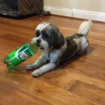 10831822_1000058073343914_1268354046_a