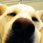 Profile_604624996_75sq_1381702046