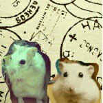 11378610_425769934214400_748042431_a