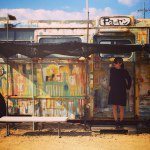 10707051_984566554891464_538842560_a