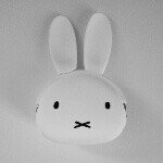 10354300_289862697840354_1153313134_a