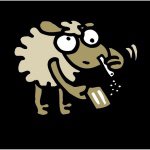 10954847_330284250498768_215833742_a