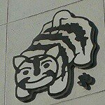 11351861_623718621062114_278260485_a