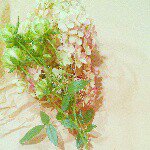 10724989_820014078061587_427979616_a