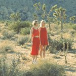 11123931_883630885012288_175671509_a