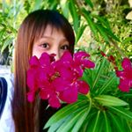 11427431_738185559637489_2038678422_a