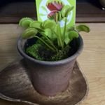 11821249_648631028605983_28299061_a