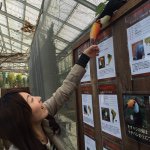 11190720_1441232389510433_1559450421_a