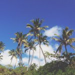 11111473_1058492214165946_1672563245_a