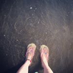 11375216_686308528166482_673858208_a