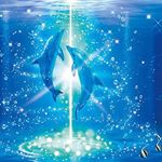 11311591_1469230160044685_2089372076_a