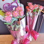 11141929_803296283080131_1545466238_a