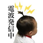 11313526_893809100679969_1813710869_a