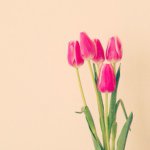 10986125_1610642022488971_1528153513_a