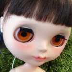 11244649_890788564301301_528814613_a