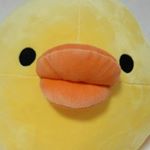 11271150_501437050031996_647962539_a