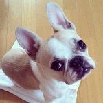 10817979_855548427809141_1563708788_a