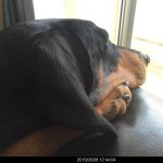 11327376_1614807545432571_914772639_a