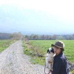 11232810_844057242351750_288075884_a