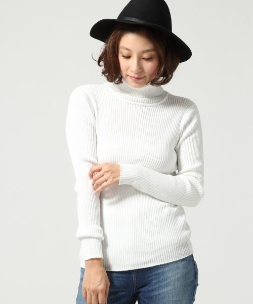 １２ＧリブタートルＬＳ