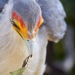 10787996_366724786836886_1681072398_a