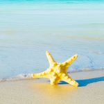 11423651_800977296668123_1348738932_a