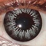 11268089_1591364717793478_1804586723_a