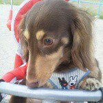 11190291_1469894613301219_1118562930_a